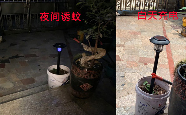 尚科SX08戶外滅蚊燈價格圖片 尚科SX08戶外滅蚊燈價格圖片