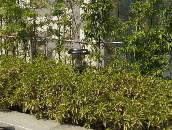 江西某小區(qū)安裝尚科戶外草坪燈效果 江西某小區(qū)安裝尚科戶外草坪燈效果