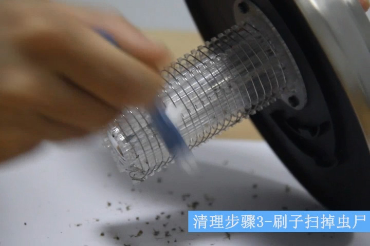 清理戶外滅蚊燈電死的蚊子 清理戶外滅蚊燈電死的蚊子
