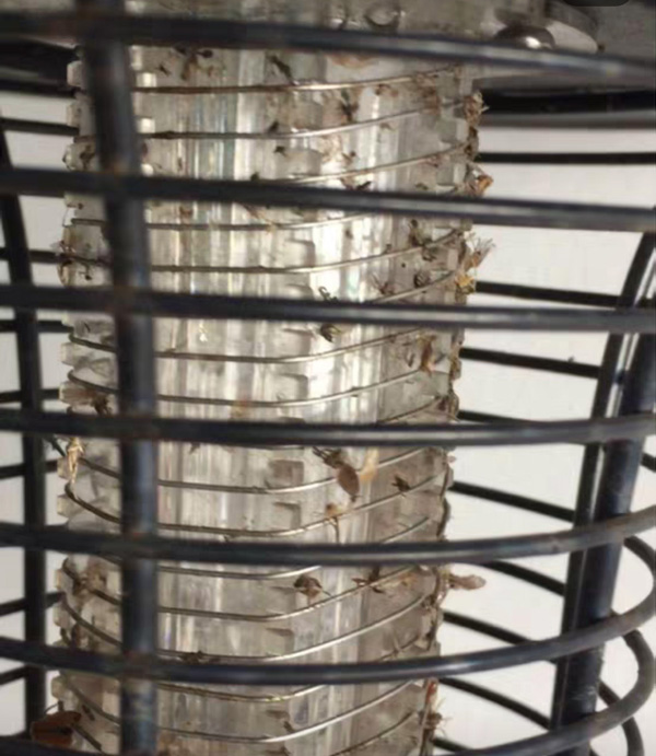 沾滿死蚊子的花園庭院LED滅蚊燈 沾滿死蚊子的花園庭院LED滅蚊燈
