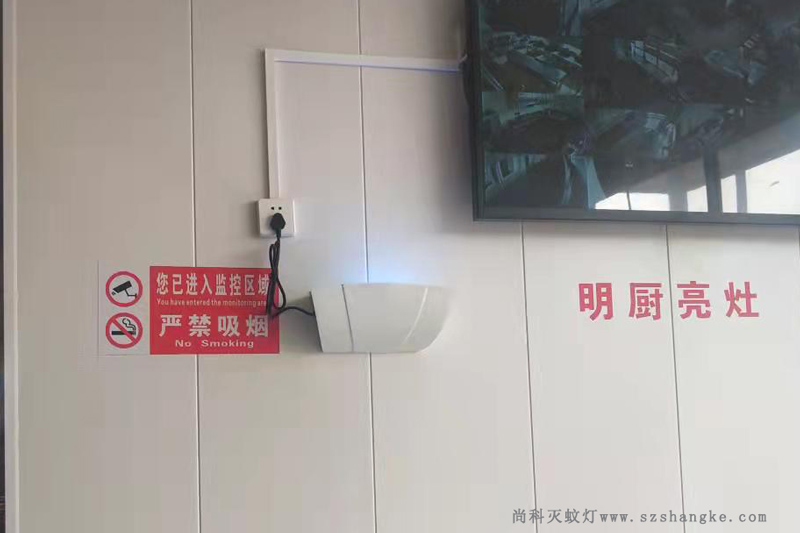 粘捕式滅蠅燈用于工廠食堂 粘捕式滅蠅燈用于工廠食堂