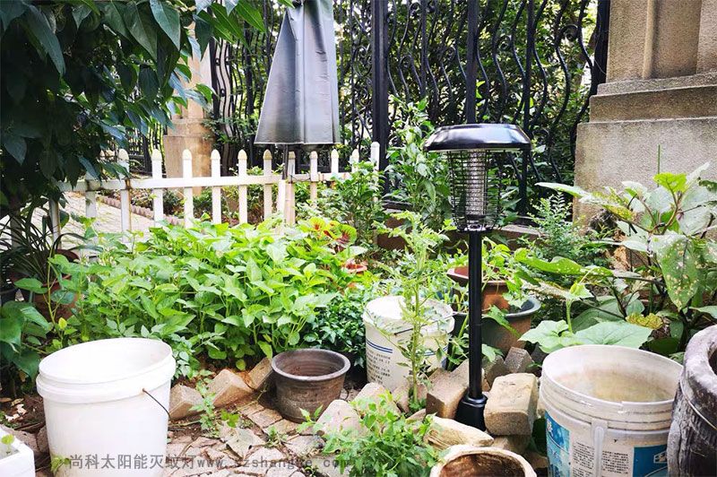 戶(hù)外滅蚊親測(cè)：滅蚊燈效果怎么樣？到底有用嗎