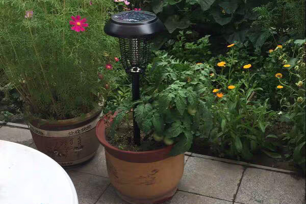 一盞花園滅蚊燈可以呵護(hù)整個(gè)庭院 一盞花園滅蚊燈可以呵護(hù)整個(gè)庭院