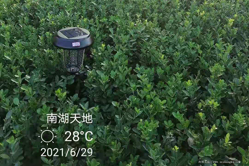 與太陽能滅蚊燈一起打卡嘉興南湖天地