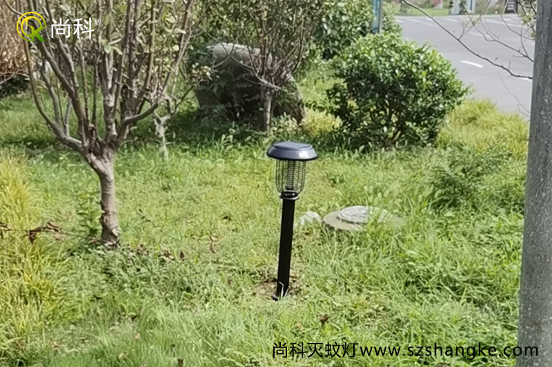 浙江嘉興無蚊村的秘密，太陽能滅蚊燈是亮點