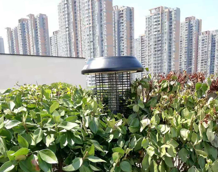 公園滅蚊燈的五大特點，不再被蚊子困擾