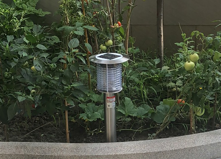 室外滅蚊蟲燈的工作原理詳解，了解如何驅趕蚊蟲